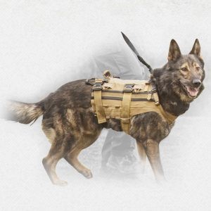 Vests and Other K9 Accessories