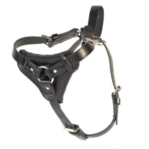 leather tracking harness